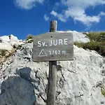 Bibo Grubine