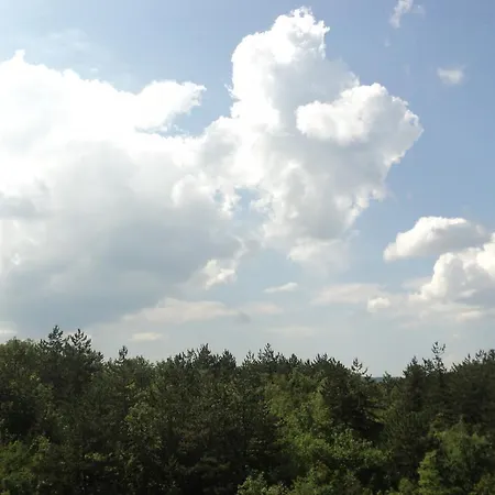 Апартаменты Bibo *