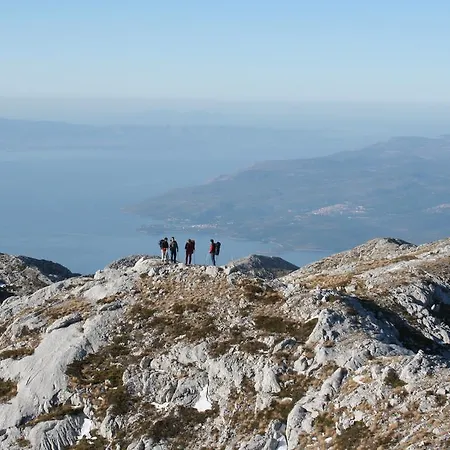 Апартаменты Bibo