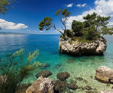 Апартаменты Bibo Grubine