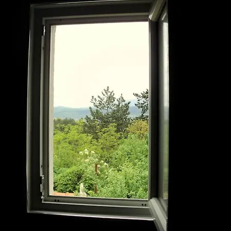 Apartment Bibo Grubine
