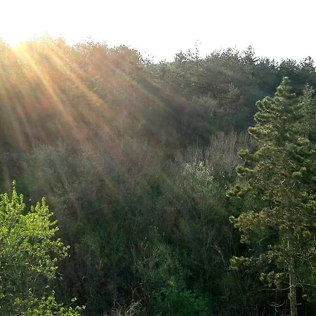 Апартаменты Bibo